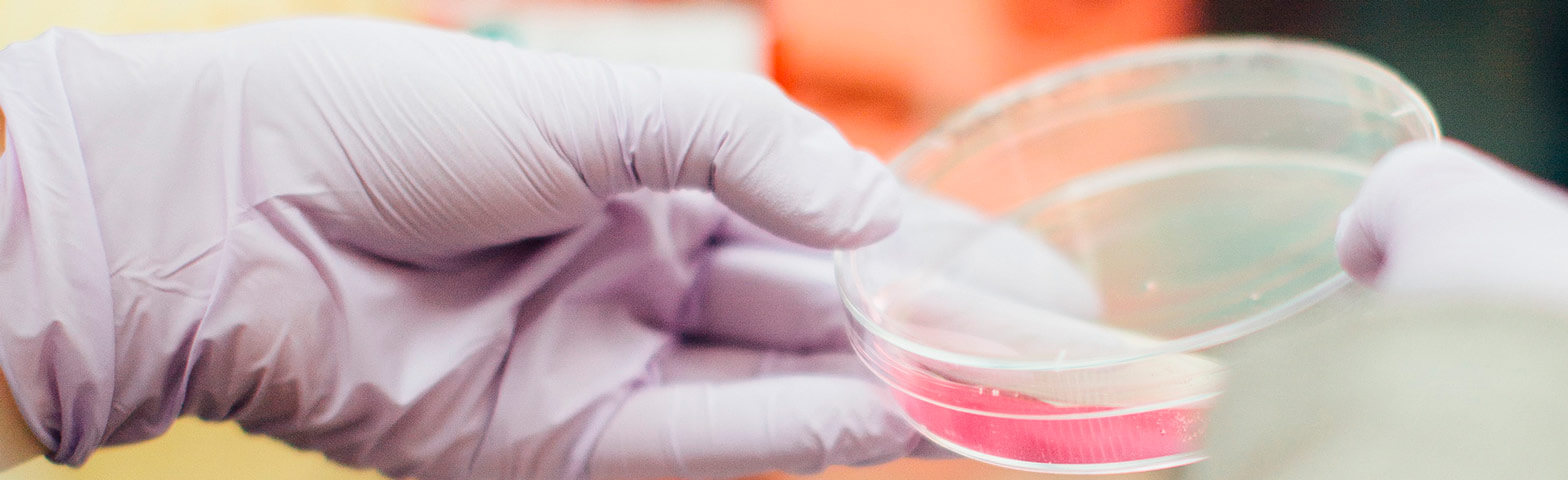 Laboratoire de L’hôpital Perpetuo Socorro